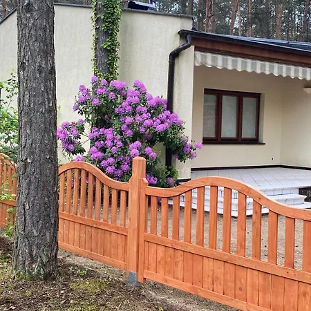 Nad Jeziorem Mierzynskim 50m2 Mierzyn (Greater Poland)